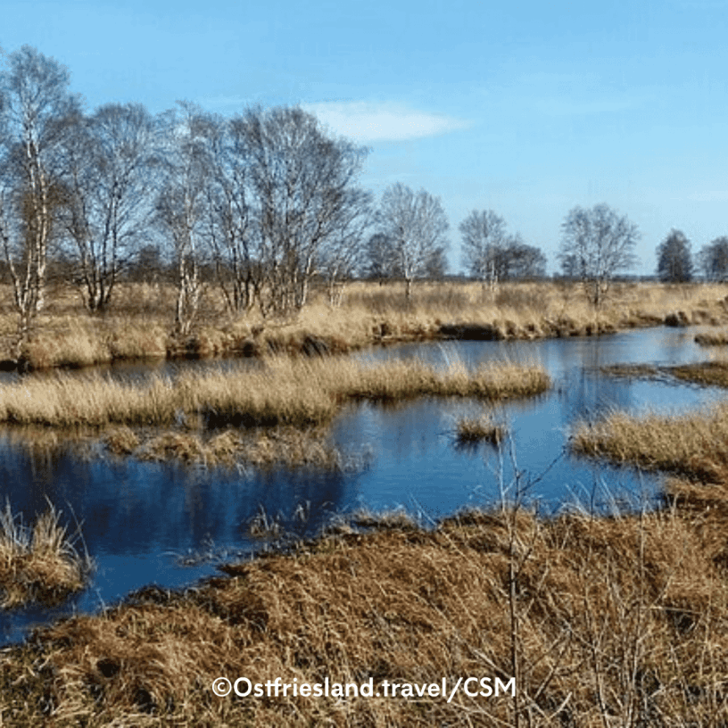 Ewiges Meer - Höchster Hochmoorsee Deutschlands. (©Ostfriesland.travel/CMS)
