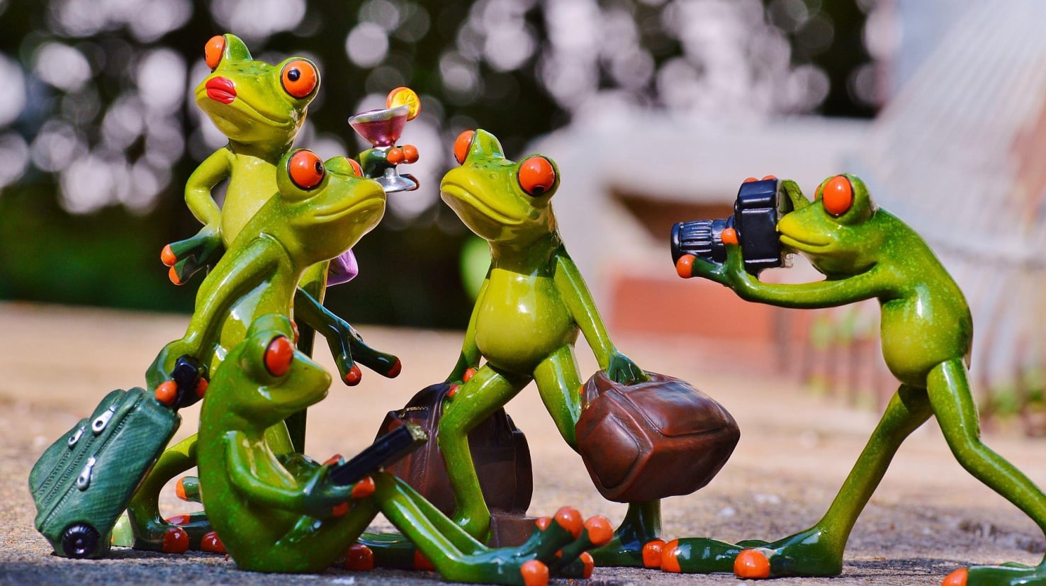 Eine Gruppe von Fröschen auf Reisen (gestellte Knetfiguren).